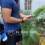 Ban Nhan o Bien Hoa Dong Nai da mua gay Baton ASP Chinh Hang mau den Army Titan (3)