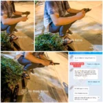 Ban Thanh Vu (Quan 11, TpHCM) mua baton ASP Army Thumbnail